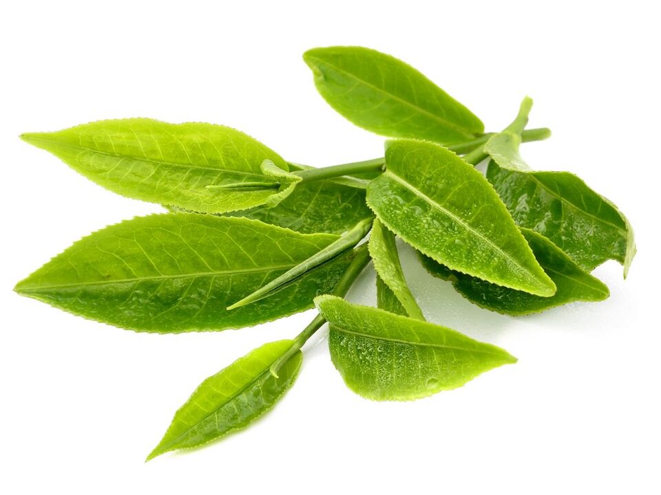 thé vert dans Keto Matcha